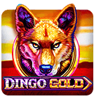 teen patti wink download